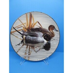 American Waterbirds  "Pintails"  Signed By Artist Rod Lawrence  Plate #2157 VGC